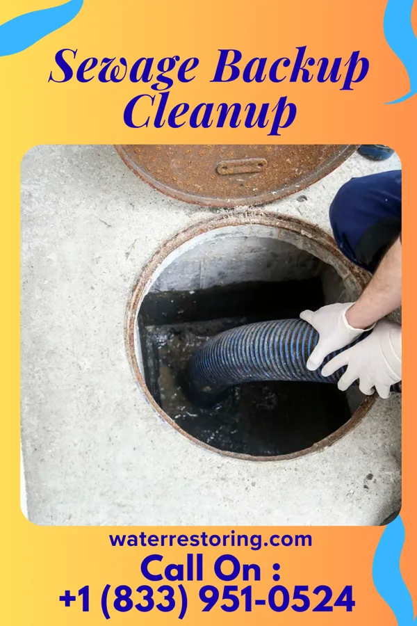 Sewage Backup Cleanup in Nicoma Park, OK